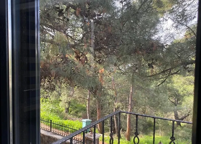 Lotus 4 Mevsim Ayvalı